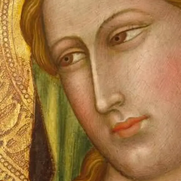 From Laura and Veronica's website http://www.fabraconservazione.it/en/studio