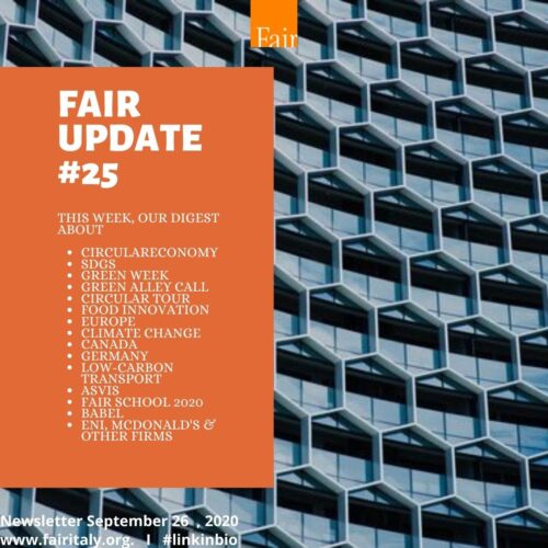 Fair Update #25