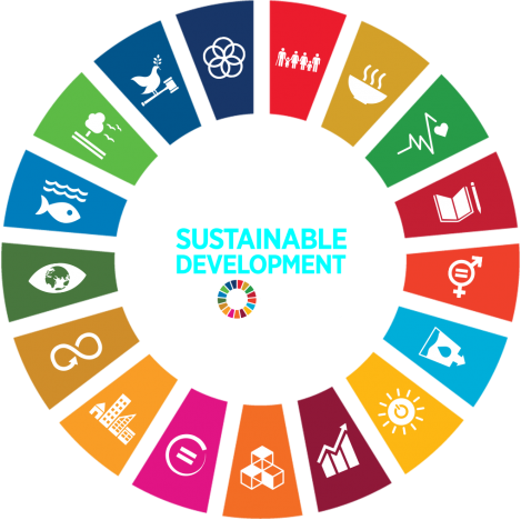UN SDGs