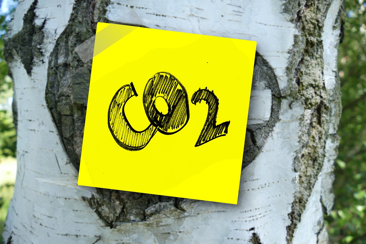 co2 emissions scope 1 Scope 2